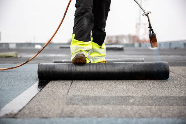 Best Solar Panel Roofing Installation  in Maysville, NC